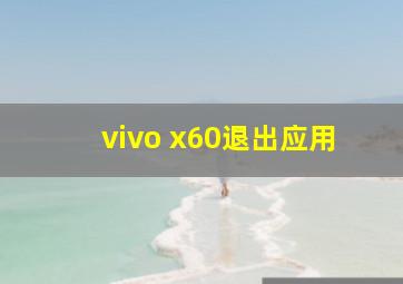 vivo x60退出应用